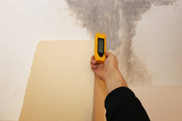 Best Forensic Mold Investigation  in Cologne, NJ