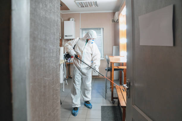 Dehumidification Services in Cologne, NJ