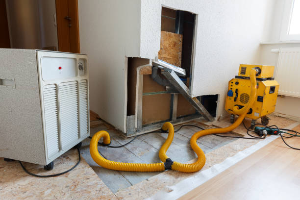 Best Industrial Mold Remediation  in Cologne, NJ